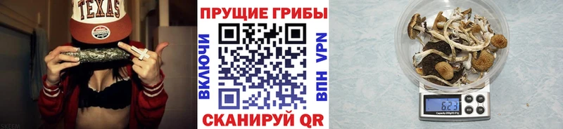 Галлюциногенные грибы Psilocybine cubensis Юрьевец