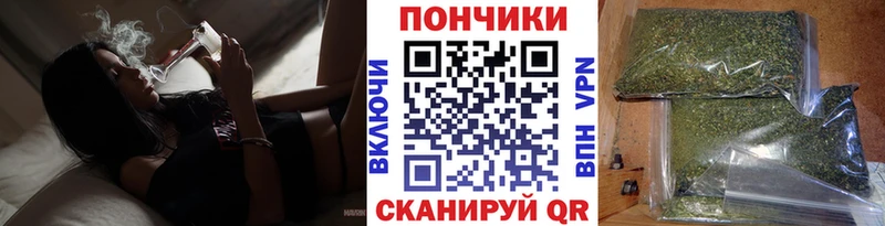 Бошки Шишки конопля  магазин  наркотиков  Юрьевец 